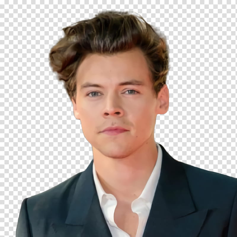 Hair, Harry Styles, Singer, One Direction, Dunkirk, Film, Model, Sign Of The Times transparent background PNG clipart