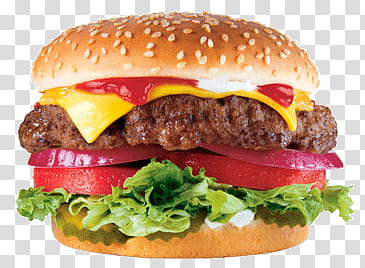 burger illustration transparent background PNG clipart