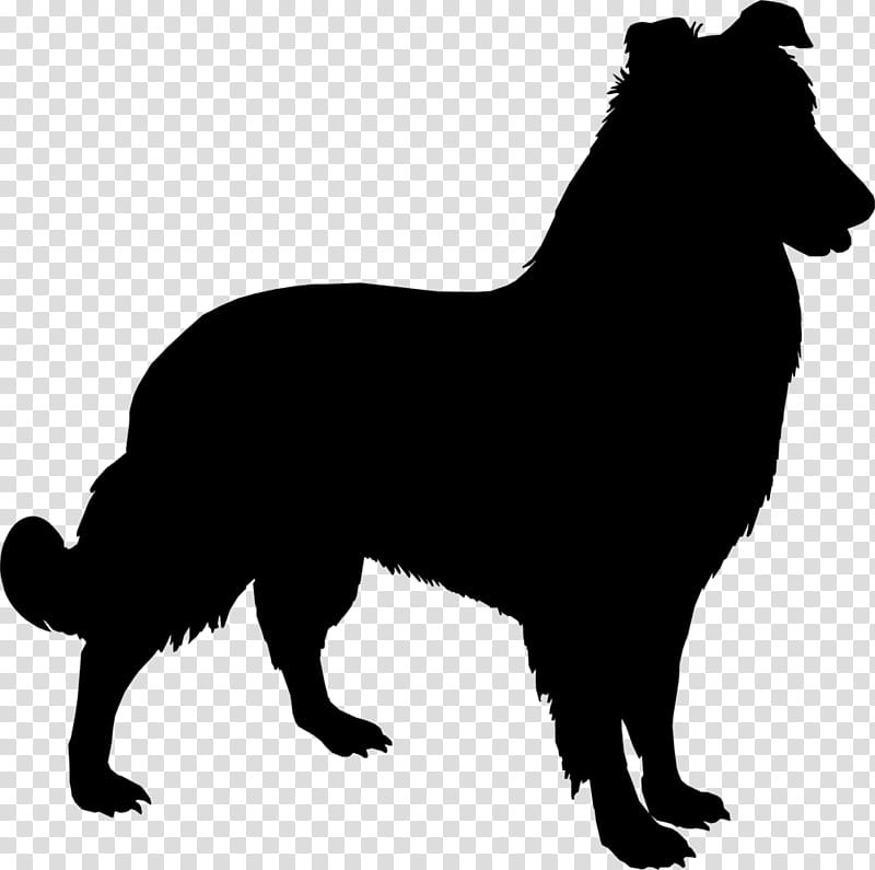 Dog And Cat, Anatolian Shepherd, Yorkshire Terrier, Sheltie, German Shepherd, Pet, Cattery, Silhouette transparent background PNG clipart
