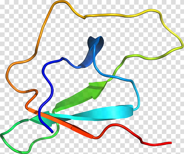 Line, Point, Area transparent background PNG clipart