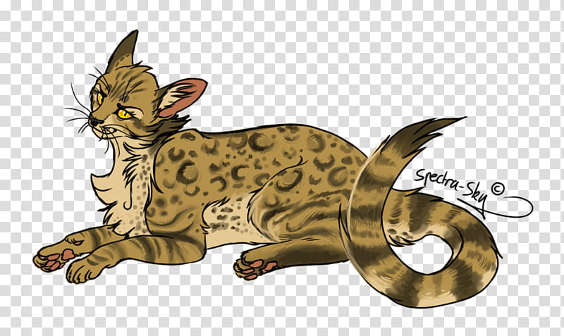 Cat Drawing, Forest Of Secrets, Crookedstars Promise, Whiskers, Warriors, Leopardstar, Firestar, Stonefur transparent background PNG clipart