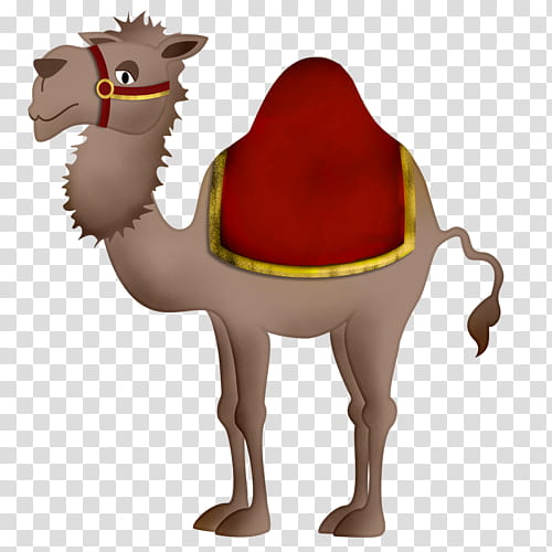 Sound Camel, Dromedary, Bactrian Camel, Drawing, Cartoon, Tonguetwister, Animal, Speech transparent background PNG clipart