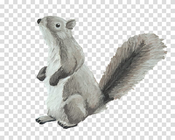Squirrel, Drawing, Tree Squirrel, Painting, Flying Squirrel, Artist, Fine Art America, Poster transparent background PNG clipart