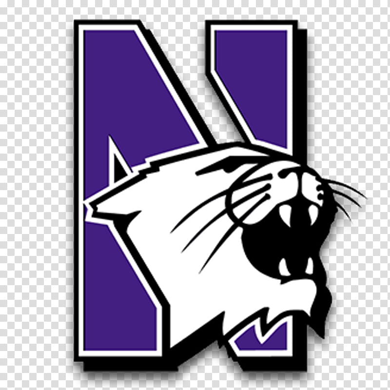 Northwestern Wildcats football Northwestern Wildcats softball NCAA Division I Football Bowl Subdivision American football Penn State Nittany Lions football, Northwestern University, College Football, Ohio State Buckeyes Football, Sports, Randy Walker, Purple, Violet transparent background PNG clipart