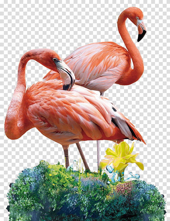 Flamingo Drawing, Painting, Online Shopping, Canvas, Sticker, Paint By Number, Oil Paint, Oil Painting transparent background PNG clipart