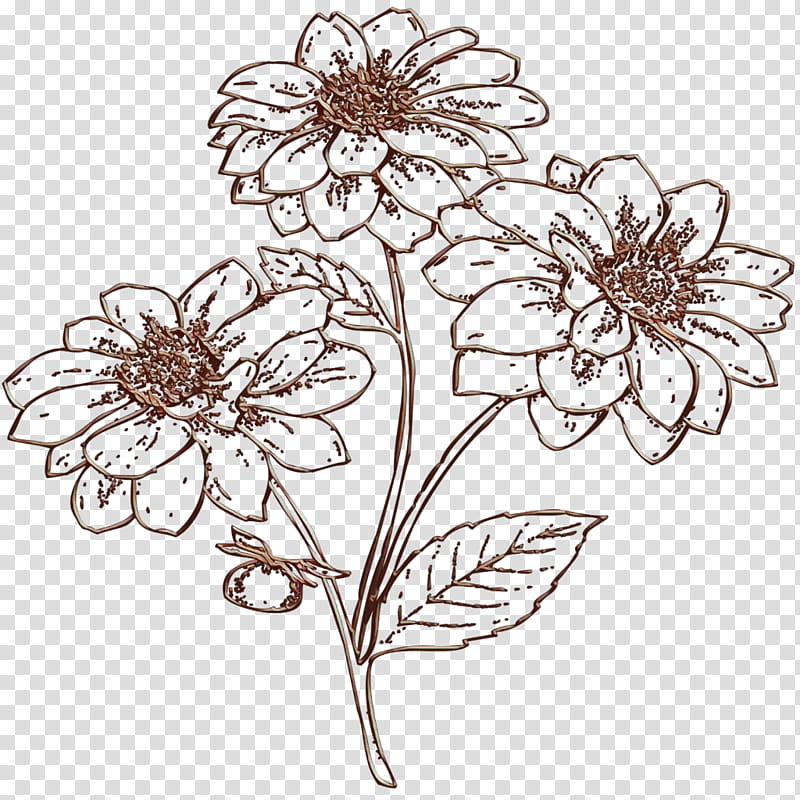 Bouquet Of Flowers Drawing, Floral Design, Cut Flowers, Chrysanthemum, Transvaal Daisy, Petal, Floristry, Flower Bouquet transparent background PNG clipart