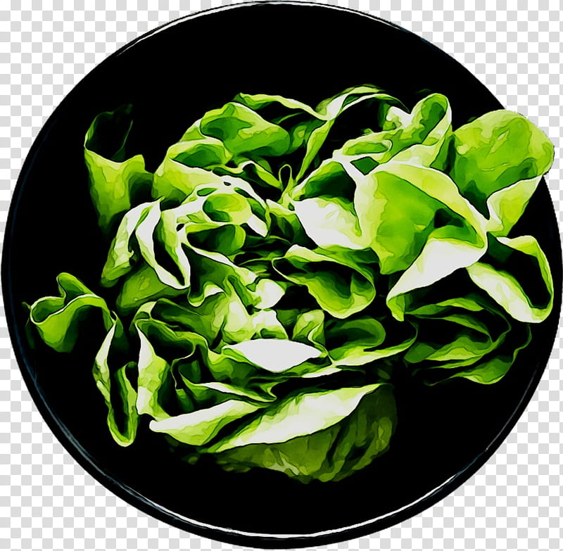Green Leaf, Spinach, Spring Greens, Spring
, Plate, Dishware, Plant, Flower transparent background PNG clipart