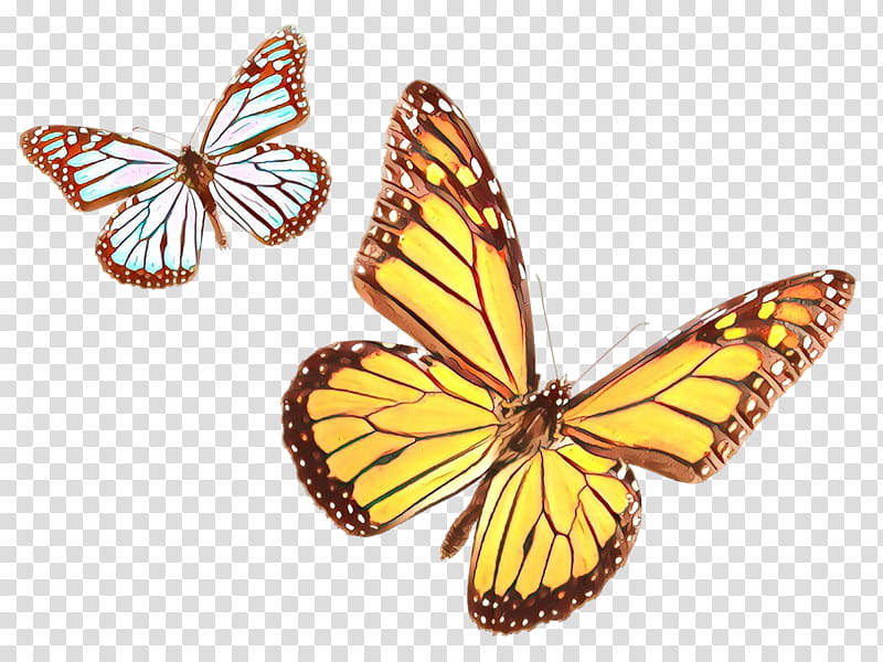Monarch Butterfly, Cartoon, Monarch Butterfly Biosphere Reserve, Insect, Brushfooted Butterflies, Menelaus Blue Morpho, Caterpillar, Plain Tiger transparent background PNG clipart
