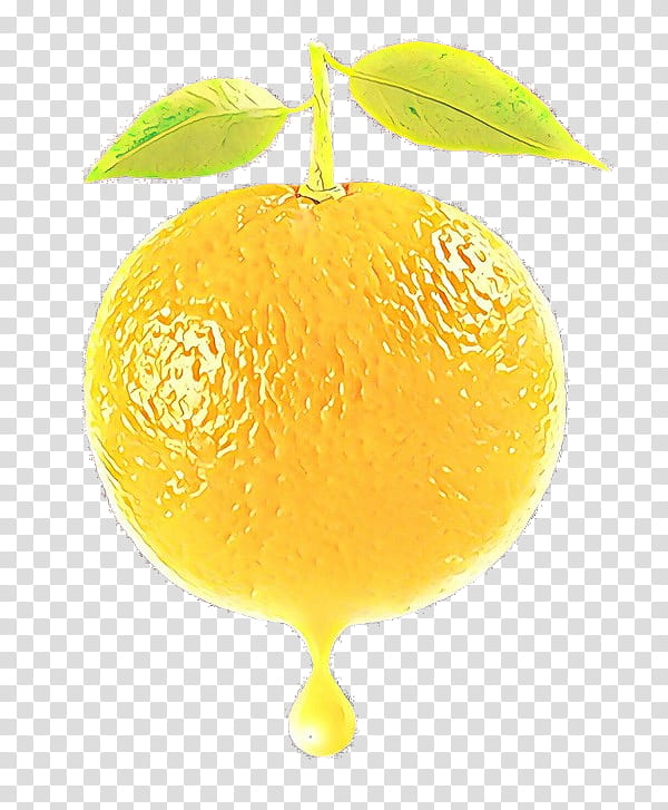citrus lemon fruit citron meyer lemon, Cartoon, Grapefruit, Sweet Lemon, Yellow, Plant, Yuzu transparent background PNG clipart