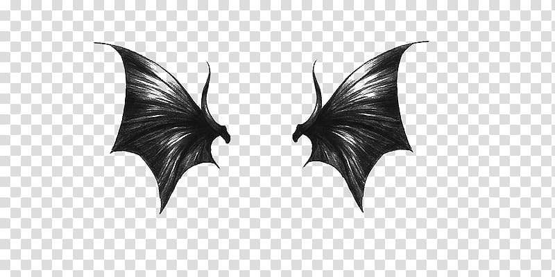 Black angel wings , black wings costume transparent background PNG clipart