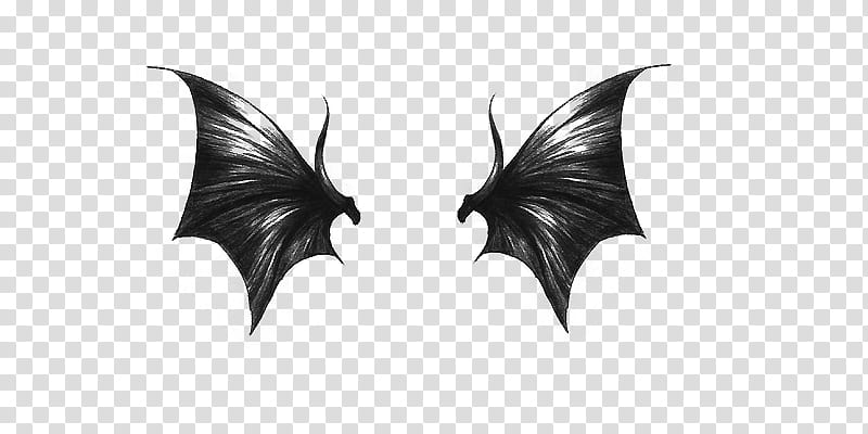 Dark wings, two black monster wings illustration transparent background PNG clipart