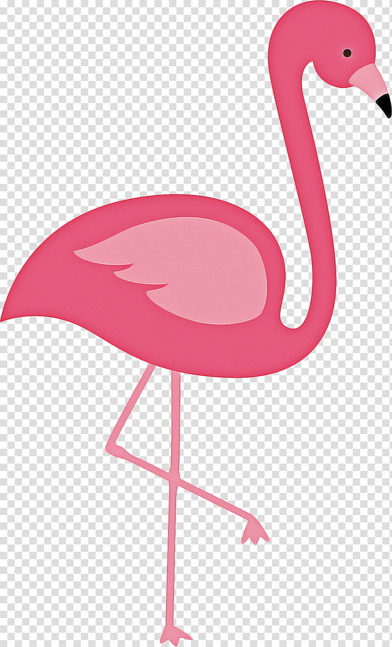 Pink Flamingo, Bird, Goose, Duck, Swans, Beak, Common Ostrich, Bird Flight transparent background PNG clipart