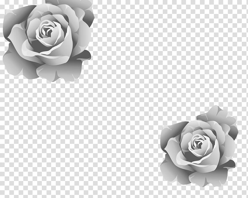 rose art transparent background PNG clipart