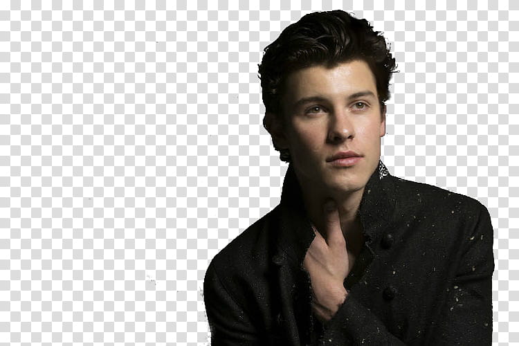 Shawn Mendes transparent background PNG clipart