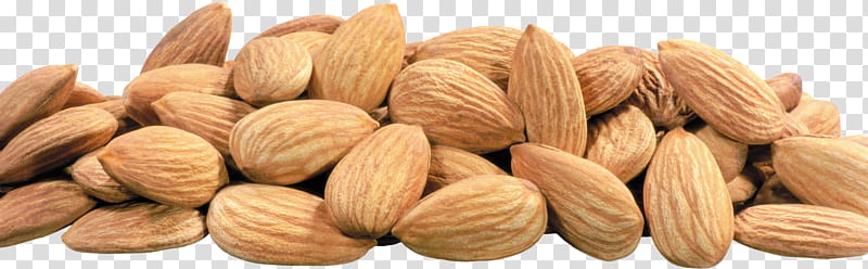 Fruits, Almond, Hazelnut, Praline, Food, Acorn, Pine Nut, Walnut transparent background PNG clipart