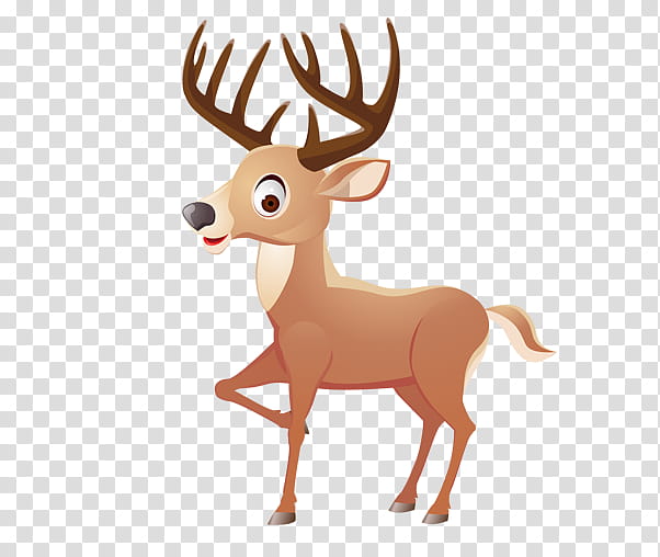 Reindeer, Cartoon, Drawing, Fallow Deer, Wildlife, Antler, Horn, Tail transparent background PNG clipart