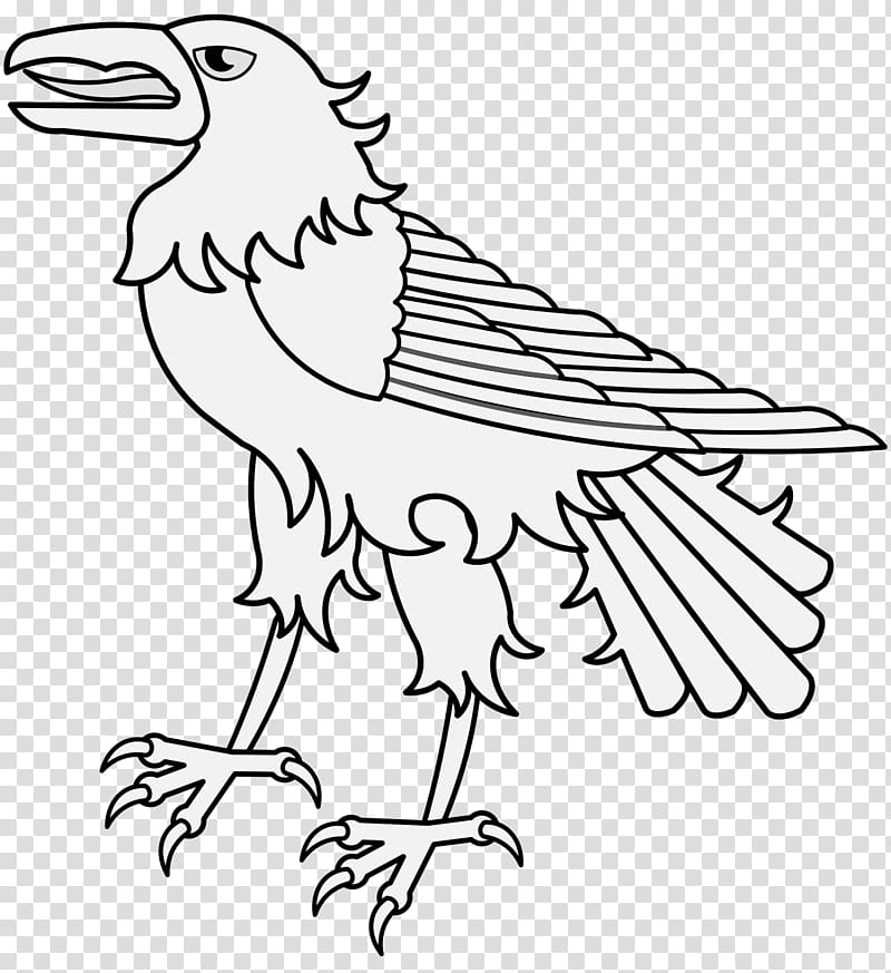 Bird Line Drawing, Beak, Common Raven, Owl, Line Art, Eagle, Bird Of Prey, Crows transparent background PNG clipart