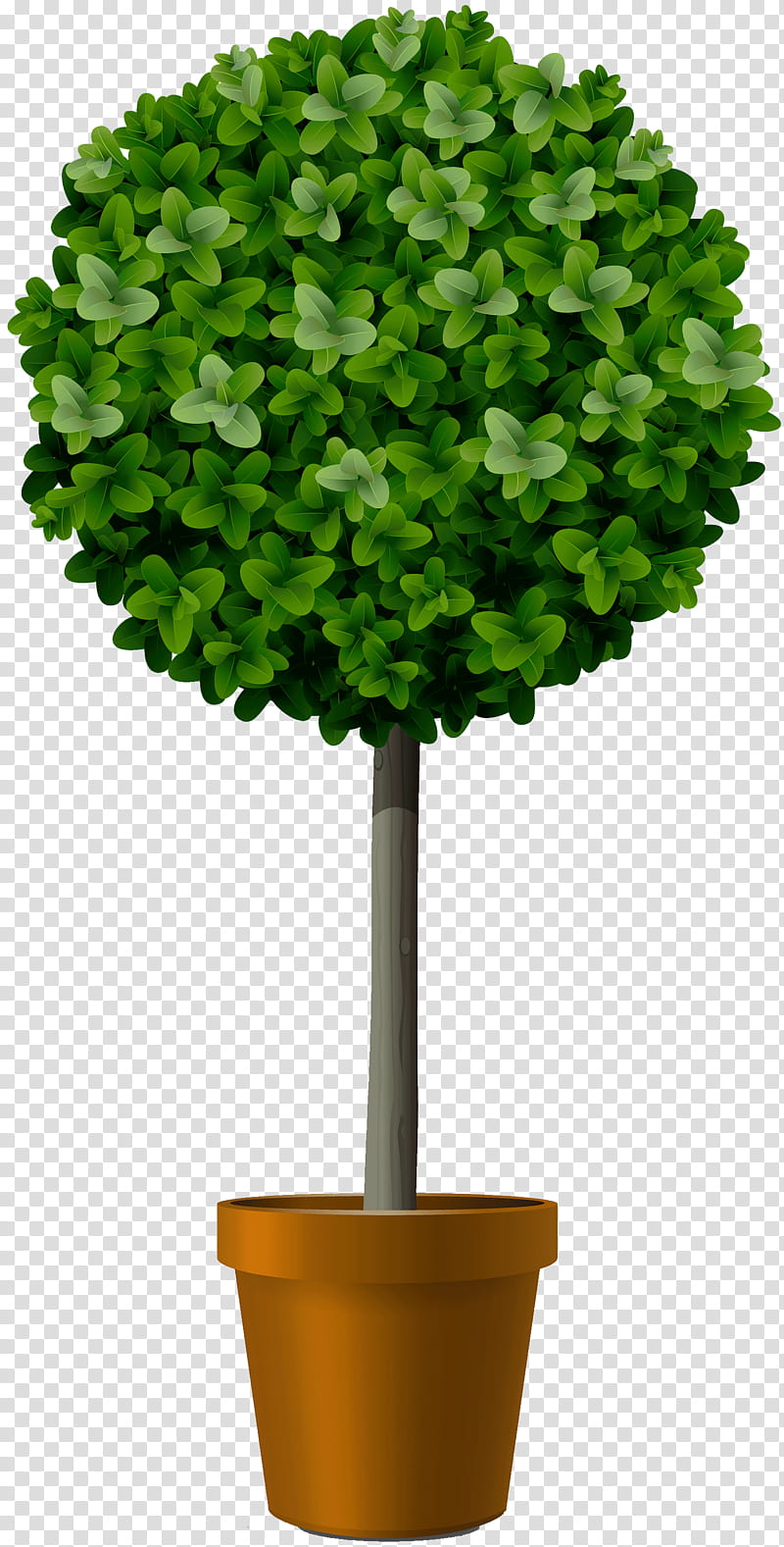 Green Grass, Tree, Topiary, Shrub, Box, Flowerpot, Leaf, Plant transparent background PNG clipart