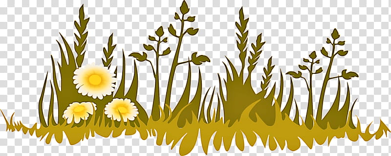 yellow flower plant chamomile dandelion, Camomile, Grass transparent background PNG clipart