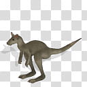 Spore creature Eastern Grey Kangaroo fem, gray kangaroo illustration transparent background PNG clipart