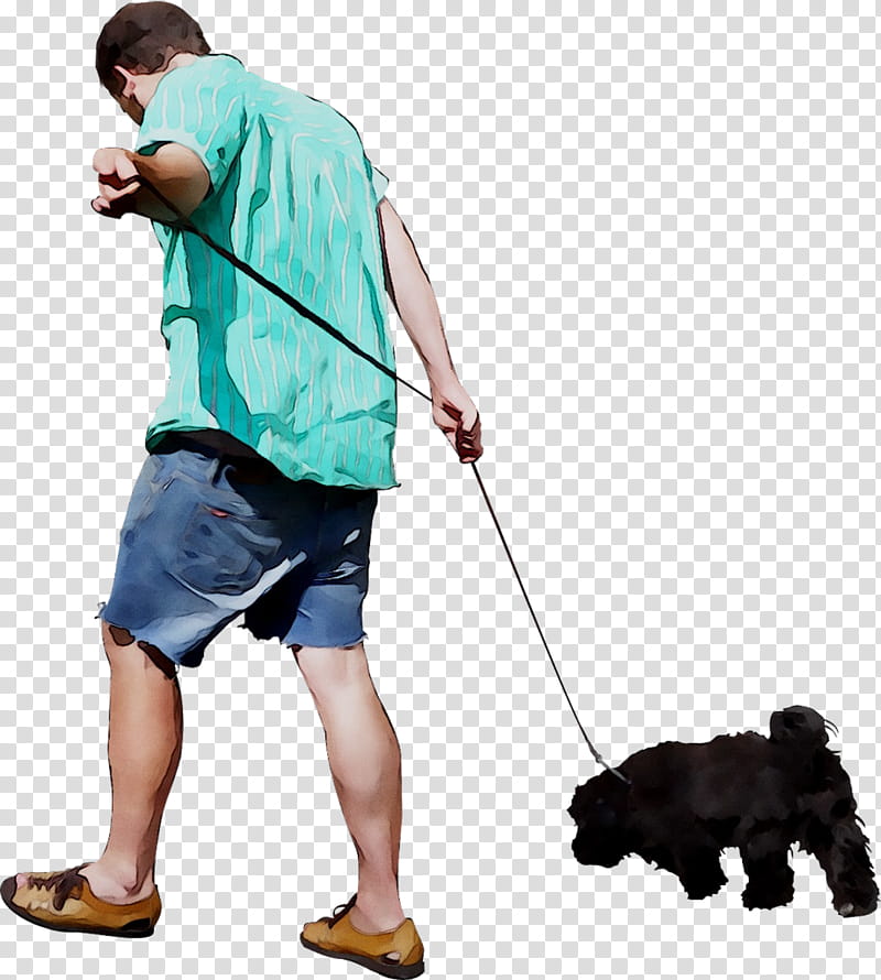 Dog Sitting, Leash, Portuguese Water Dog, Ruffwear, Pet, Ruffwear Roamer Dog Lead, Obedience Training, Dog Walking transparent background PNG clipart