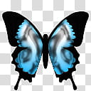 Butterfly Cam, ButterflyCam_Blue_L_A icon transparent background PNG clipart