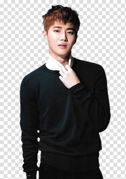 SUHO transparent background PNG clipart