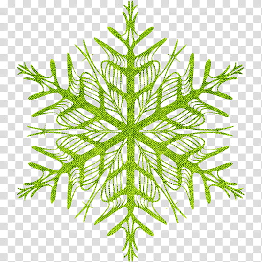 oregon pine leaf white pine plant american larch, Vascular Plant, Jack Pine, Plant Stem, Pine Family transparent background PNG clipart