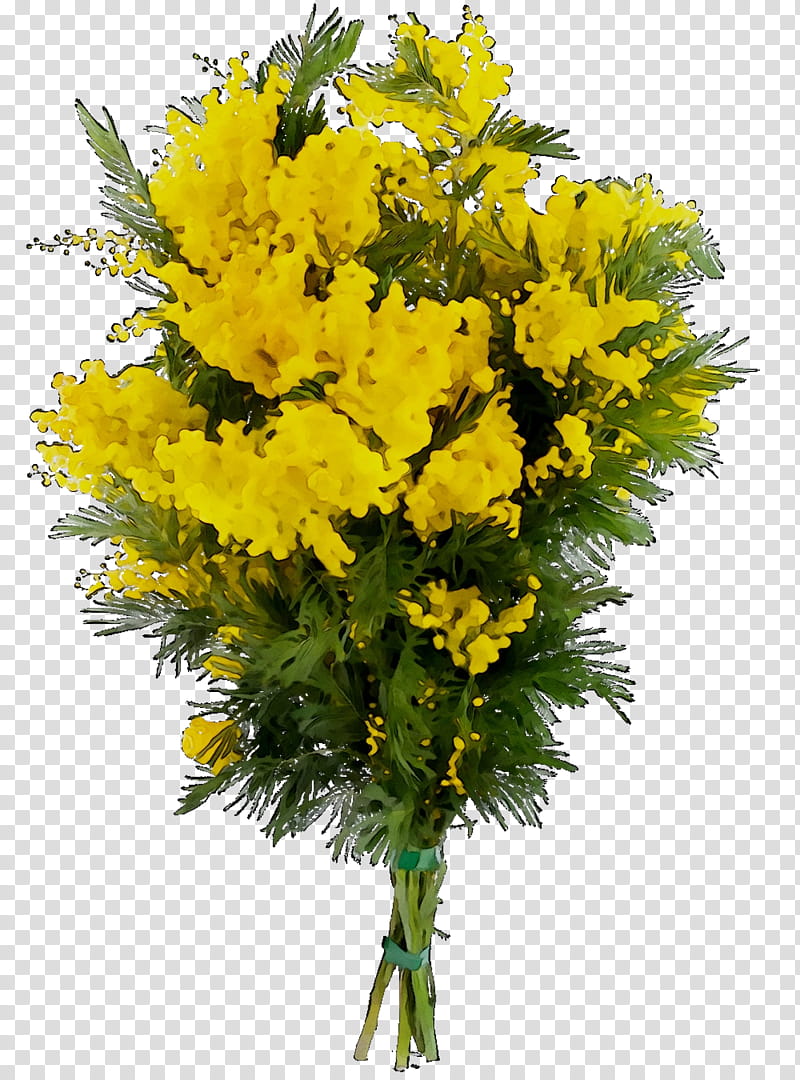 Floral Flower, Floral Design, Cut Flowers, Daugavpils, Flower Bouquet, Sensitive Plant, Plants, Belarus transparent background PNG clipart