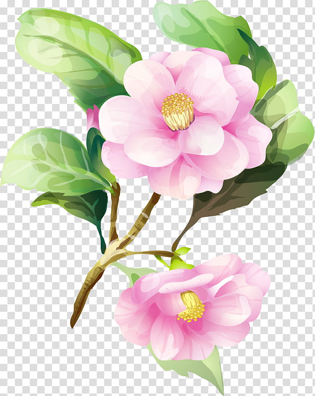 Artificial flower, Petal, Plant, Pink, Watercolor Paint, Prickly Rose, Rosa Rubiginosa, Cut Flowers transparent background PNG clipart