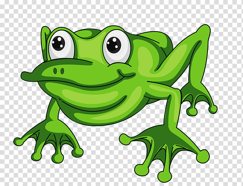 Frog, Drawing, Cartoon, Jumping, Green, Toad, Tree Frog, Line transparent background PNG clipart
