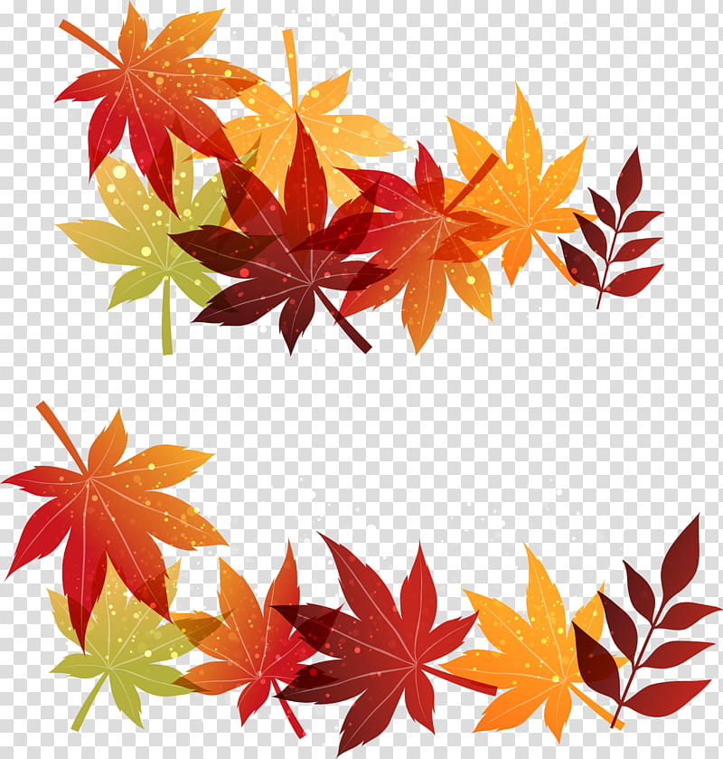 Autumn Leaf Drawing, Autumn Leaf Color, Maple Leaf, Art Museum, Orange, Plant, Tree, Sweet Gum transparent background PNG clipart