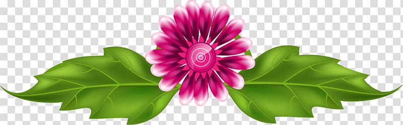 flower border flower, Flower Background, Pink, Petal, Plant, Magenta, Zinnia, Annual Plant transparent background PNG clipart