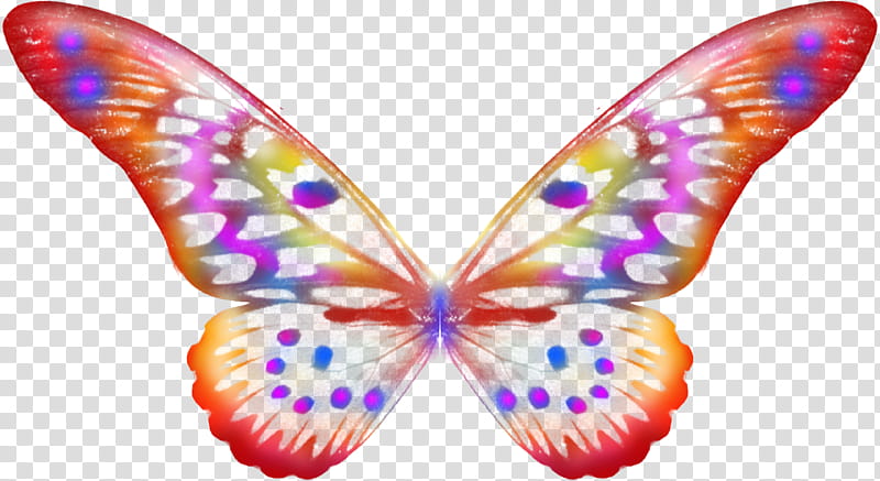 Fairy Wings  transparent background PNG clipart