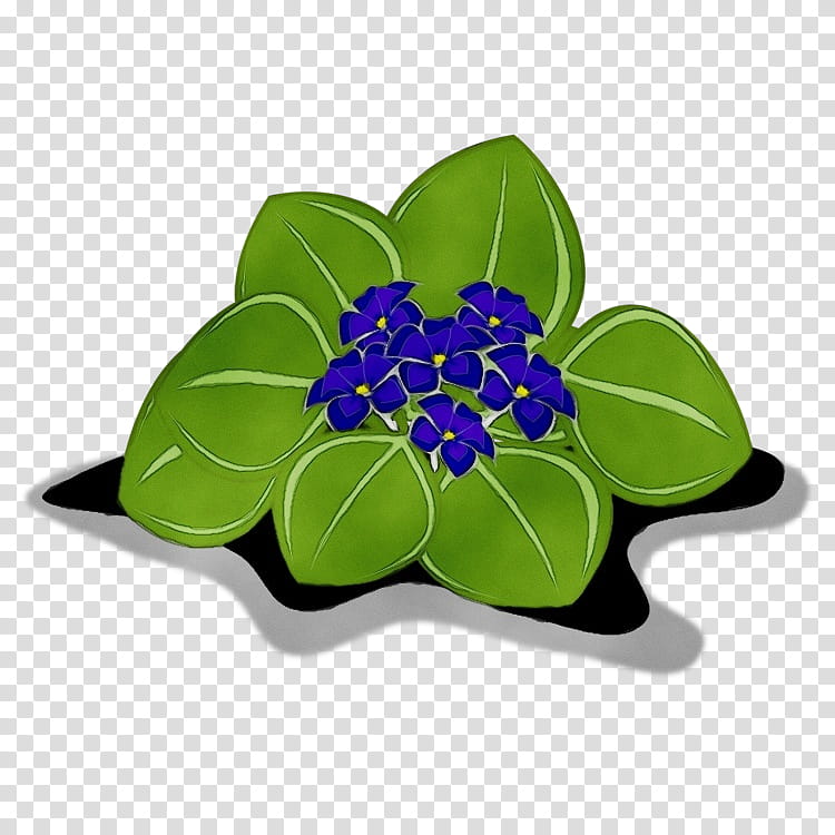 leaf green blue flower plant, Watercolor, Paint, Wet Ink, Violet, Petal, Flowering Plant, Periwinkle transparent background PNG clipart