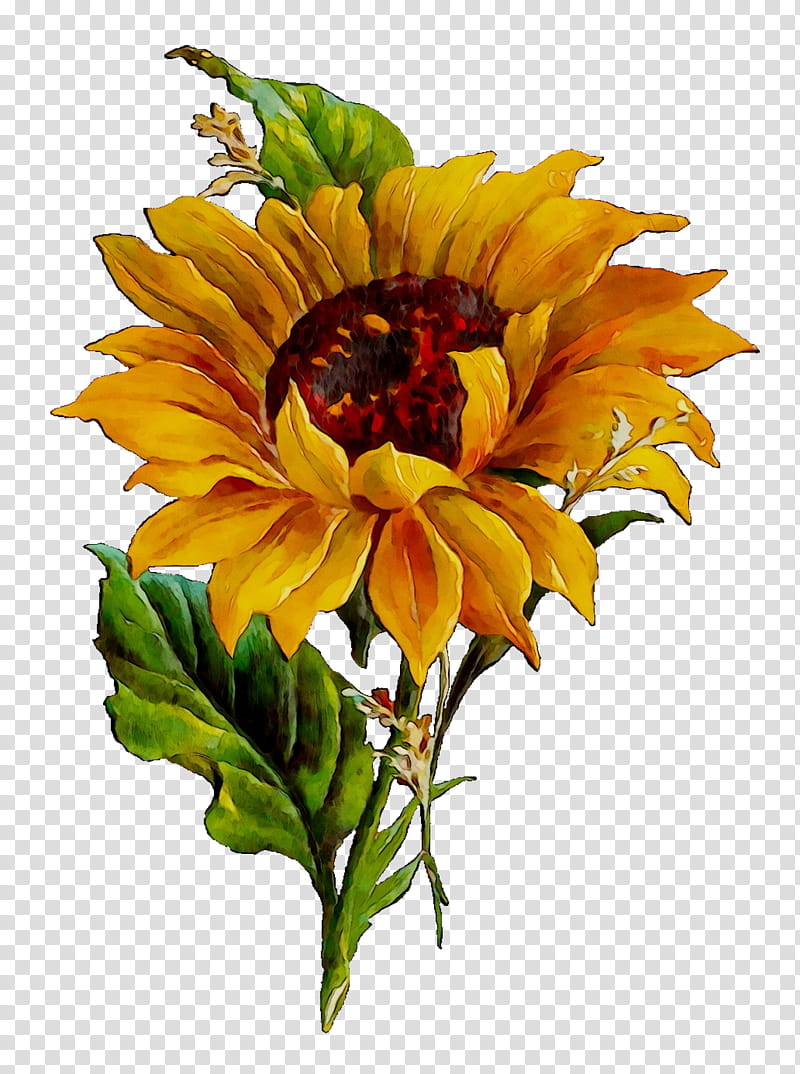 Bouquet Of Flowers Drawing, Sunflower, Common Sunflower, Text, 2018, Digital Art, Cover Art, Cut Flowers transparent background PNG clipart