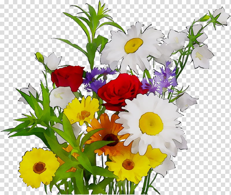 Bouquet Of Flowers, Greeting, Flower Bouquet, Morning, Transvaal Daisy, Cut Flowers, Wish, Good transparent background PNG clipart