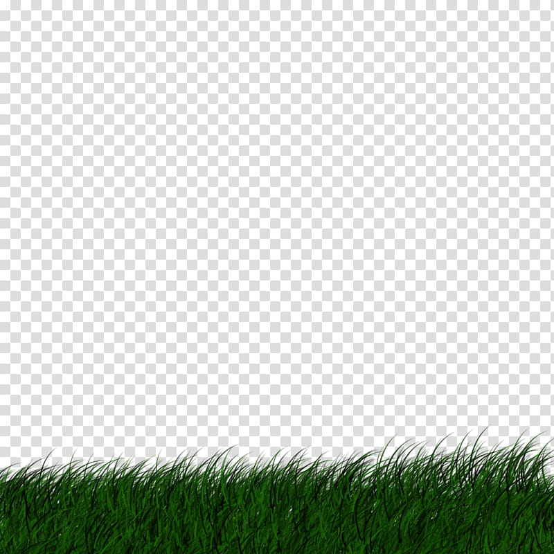 Green Grass, Lawn, Grassland, Grasses, Flower, Computer, Color, Pencil transparent background PNG clipart