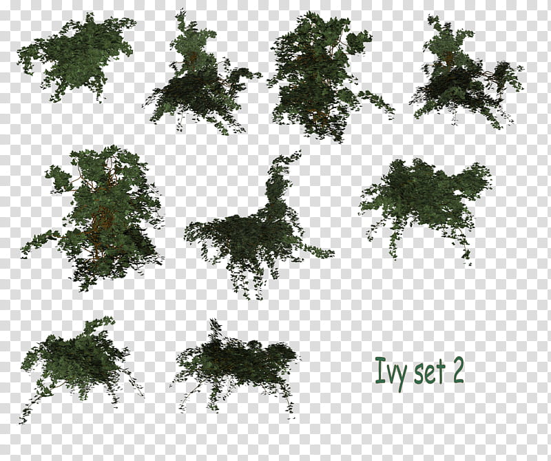 Ivy Set, green ivy set  transparent background PNG clipart