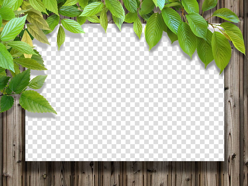 frame, Green, Leaf, Tree, Plant, Wall, Branch, Wood transparent background PNG clipart