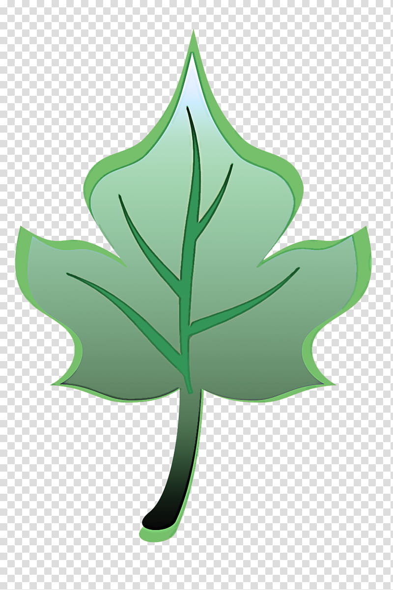 Plane, Leaf, Green, Plant, Tree, Symbol, Ivy transparent background PNG clipart