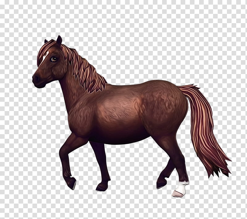 Cartoon Star, North Swedish Horse, Star Stable, Fjord Horse, Chincoteague Pony, Lusitano, Mustang, Andalusian Horse transparent background PNG clipart