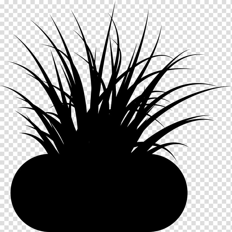 Black And White Flower, Plants, Plant Stem, Leaf, Black White M, Grass, Tree, Green transparent background PNG clipart