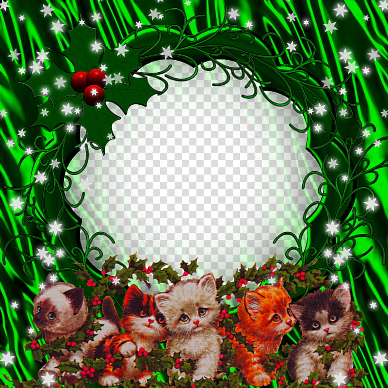 Christmas Frame, assorted-color kittens illustration transparent background PNG clipart