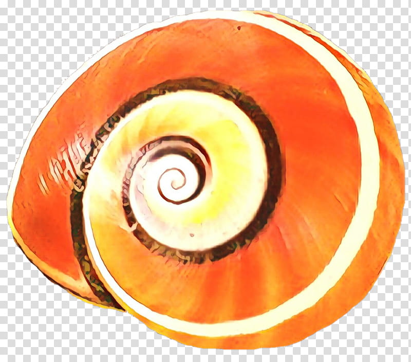 Eye, Nautiluses, Closeup, Fahrenheit, Orange, Spiral, Circle, Automotive Wheel System transparent background PNG clipart