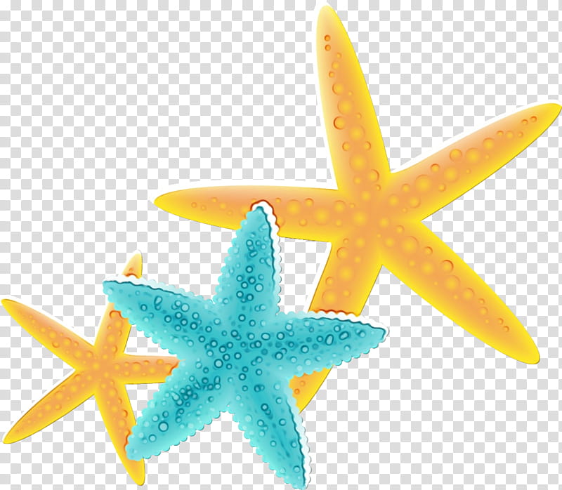 starfish marine invertebrates star, Watercolor, Paint, Wet Ink transparent background PNG clipart