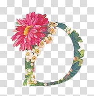, pink and white flowers letter D transparent background PNG clipart
