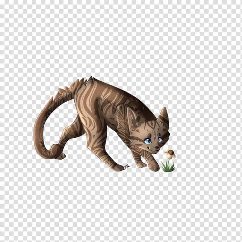 Cat, Whiskers, Rising Storm, Warriors, Littlecloud, Cinderpelt, Claw, Puma transparent background PNG clipart