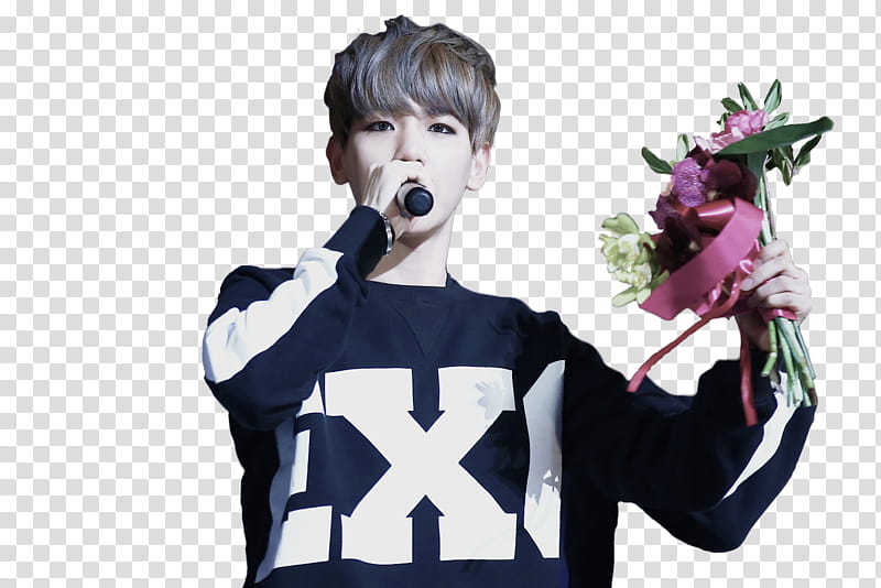 Render Baek Hyun EXO transparent background PNG clipart