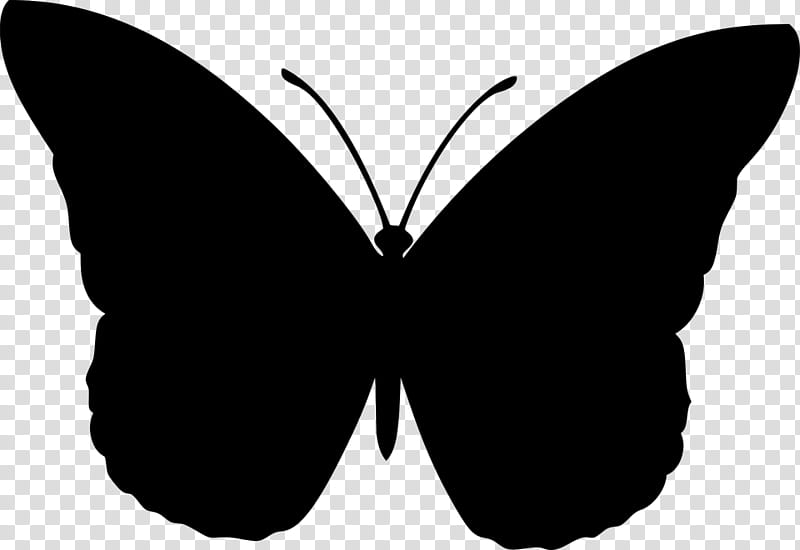 Butterfly Black And White, Brushfooted Butterflies, Insect, Drawing, Silhouette, Borboleta, Lepidoptera, Moths And Butterflies transparent background PNG clipart